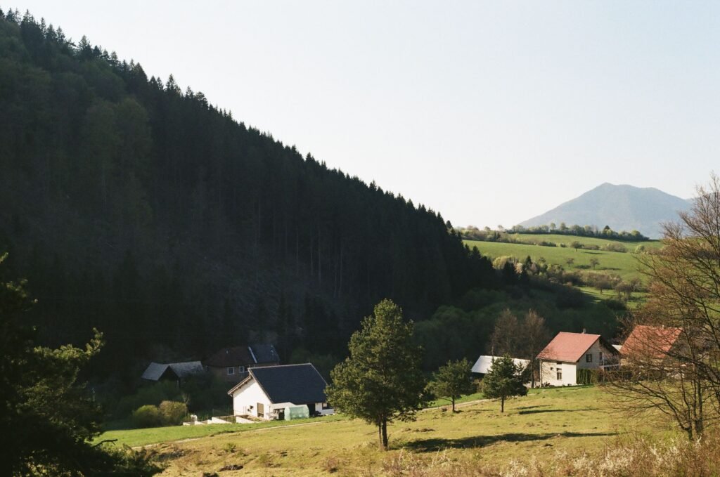 Maisons situées en lisière de forêt sur un versant boisé, illustration débroussaillement obligatoire